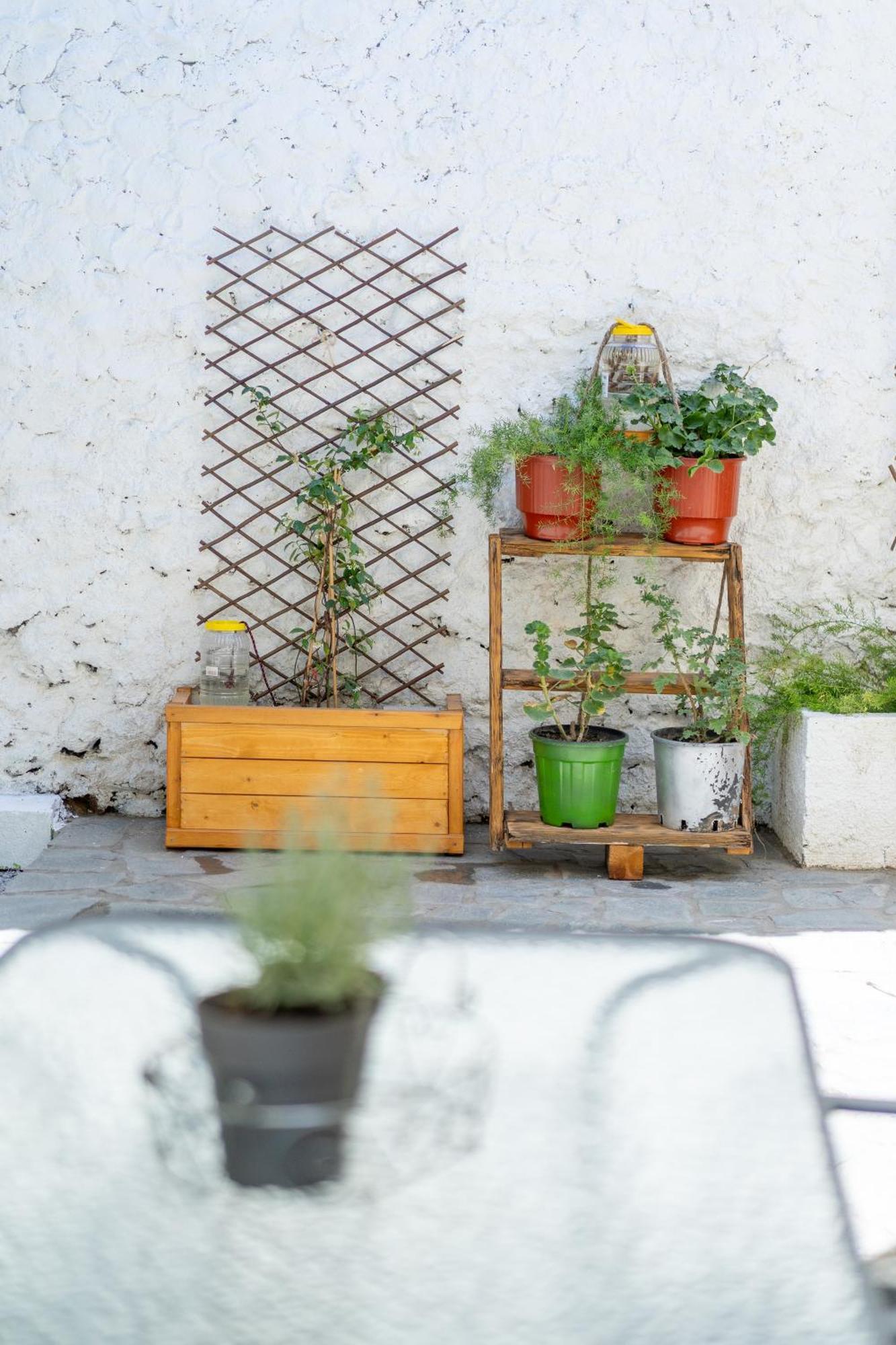 Spacious Home With Yard, Mytilene Lesvos Dış mekan fotoğraf