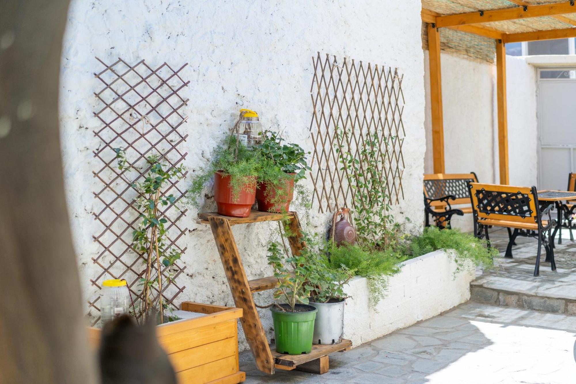 Spacious Home With Yard, Mytilene Lesvos Dış mekan fotoğraf